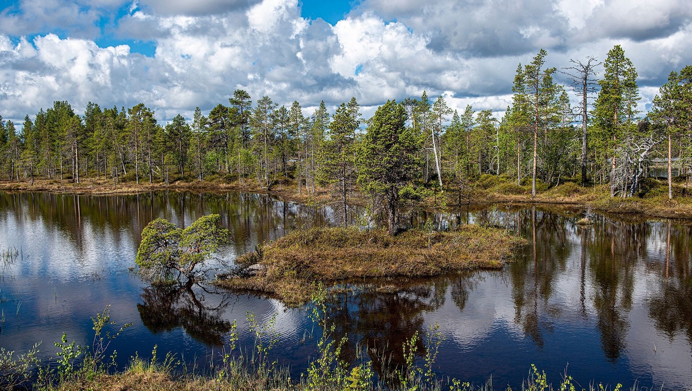 Viaggio in Finlandia Aurora Boreale | Birdwatching in Finlandia | Villaggio di Babbo Natale Finlandia
