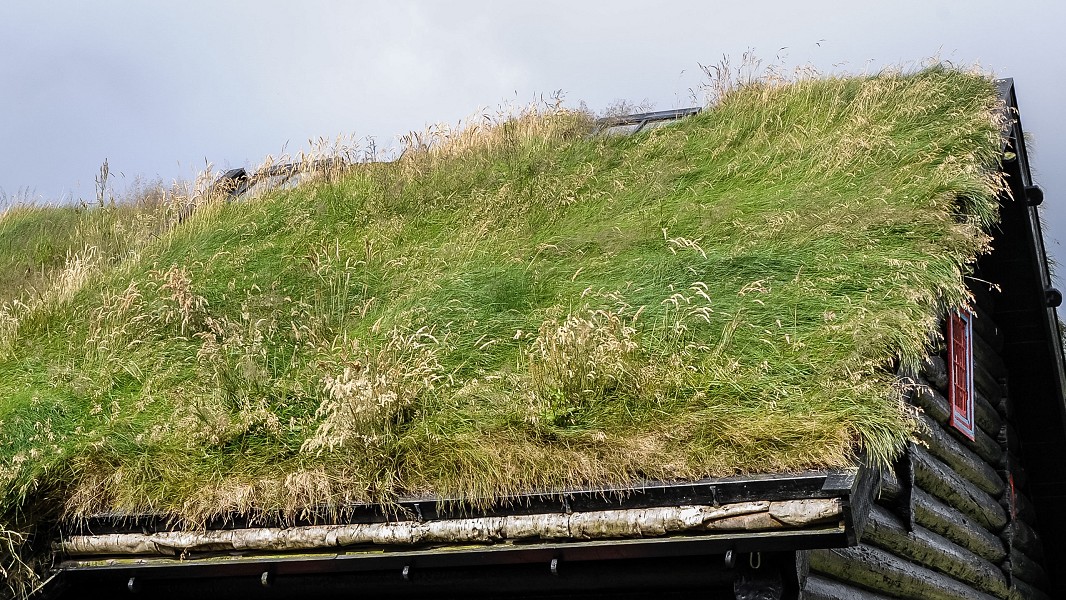 Kirkjubøur, tetto ricoperto di muschio