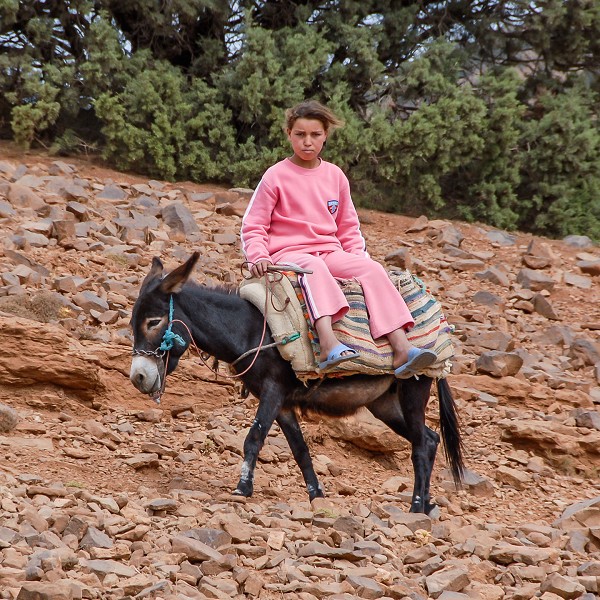viaggi in marocco con bambini | viaggi bologna marocco | viaggi brevi marocco