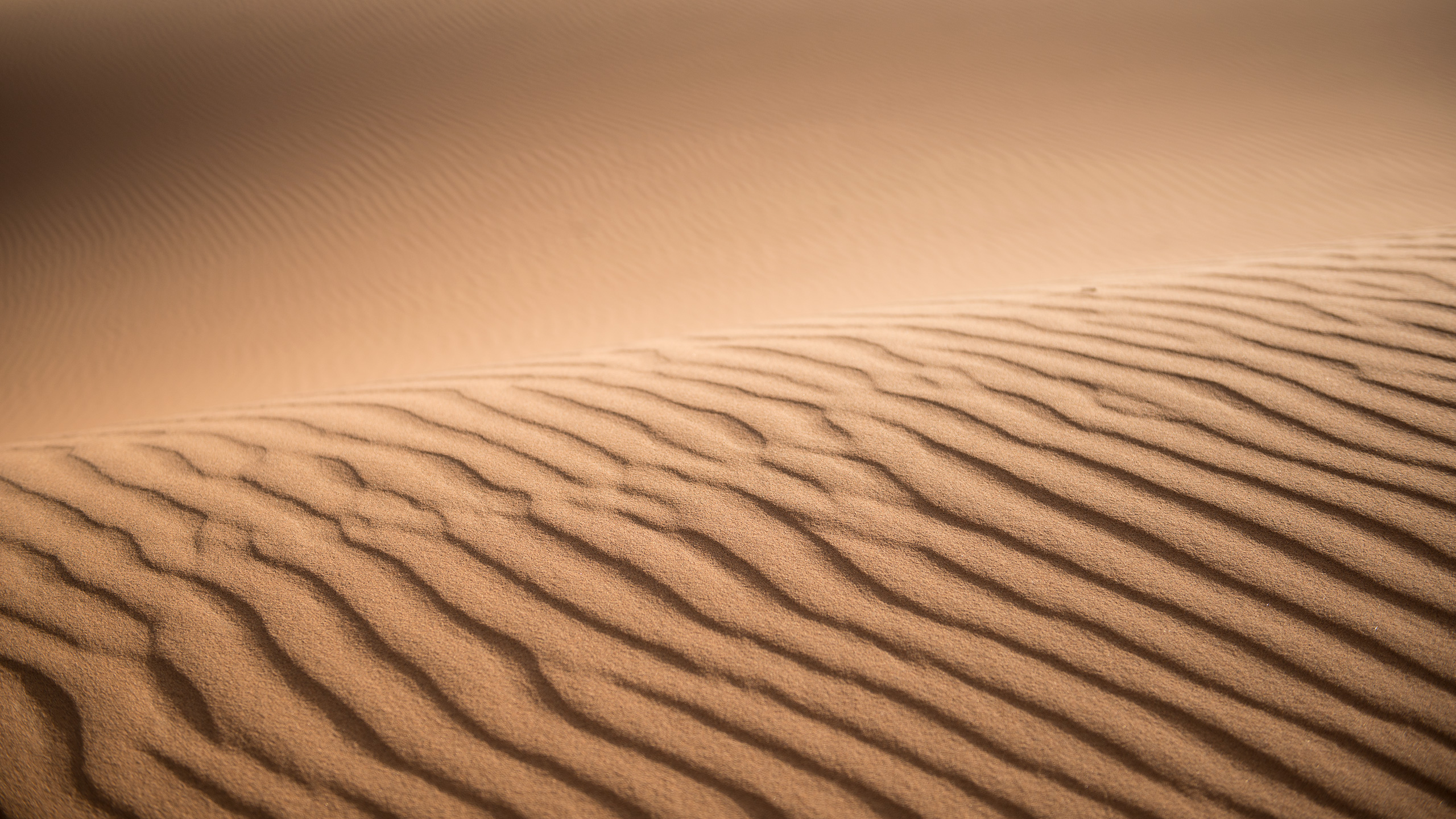 Giochi di luce sulle dune dell´Erg Chebbi, a Merzouga