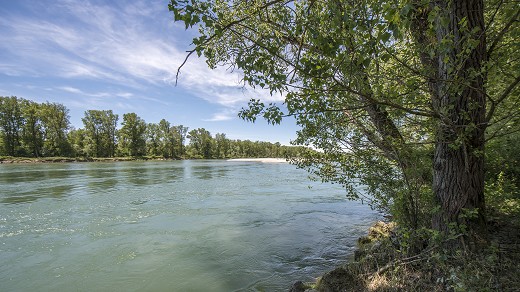 Il fiume Ticino